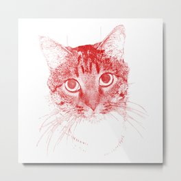 jazz, drawing, red Metal Print | Staring, Drawing, Digital, Nature, Realism, Eyes, Animal, Cat 