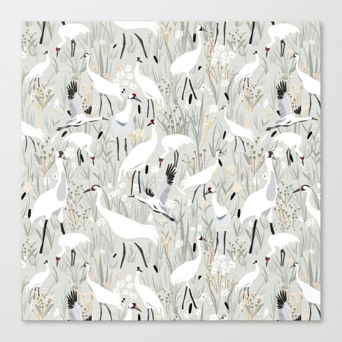 Whooping cranes comeback species neutral Canvas Print