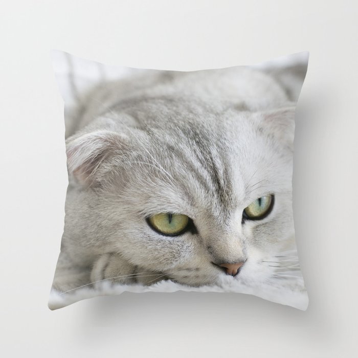 Cute Grey Cat Throw Pillow