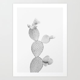 Cactus White Art Print
