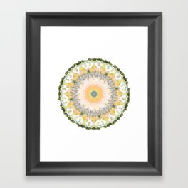 White Lily Mandala - Peach And Green Art Framed Art Print