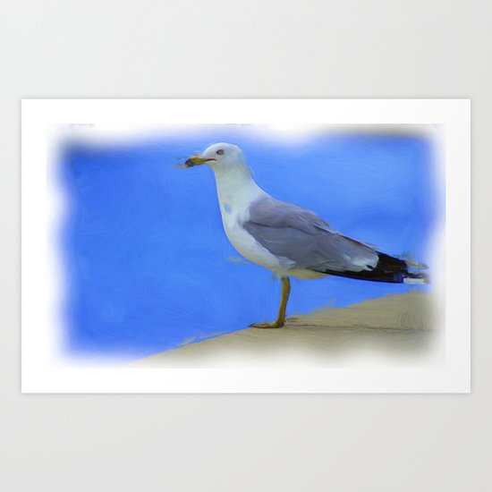 Where to now ? Art Print
