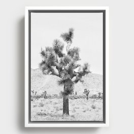 Twisted Joshua Tree - Black and White Photography Framed Canvas