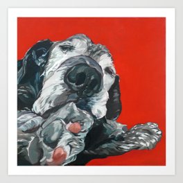 senior dog art prints