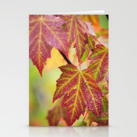 Maple Leaves Stationery Cards