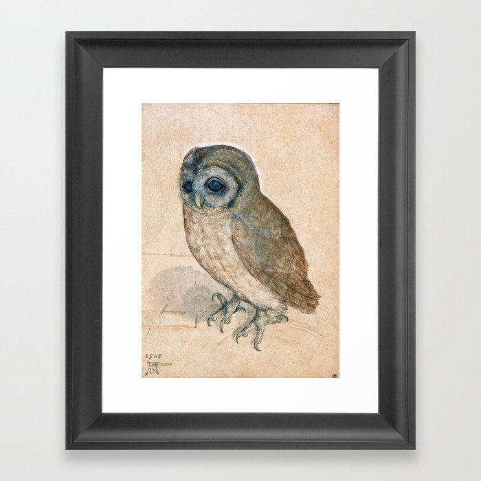 The Little Owl 1508 Albrecht Durer Framed Art Print