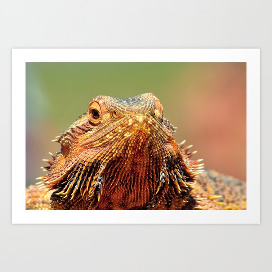 The Lizard Art Print