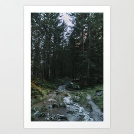 The Way Home  | Nature and Landscape Photography Art Print