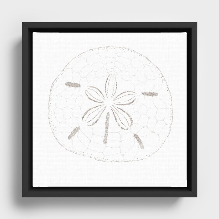 Framed Canvas