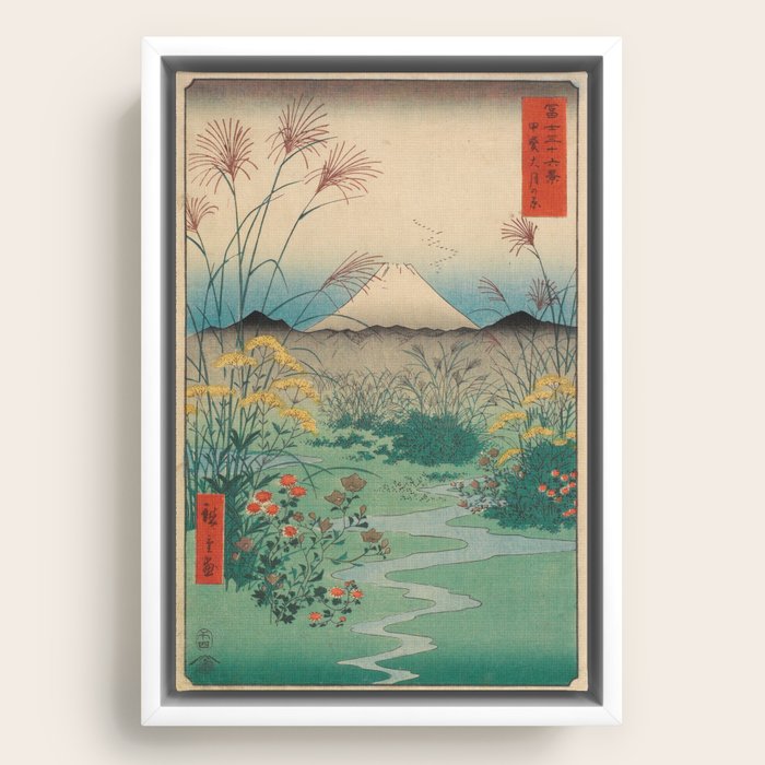 Framed Canvas