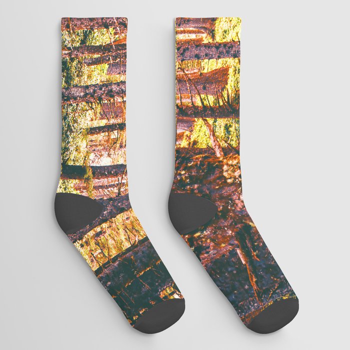 Pnw Forest | Nature Photography in Oregon Socks
