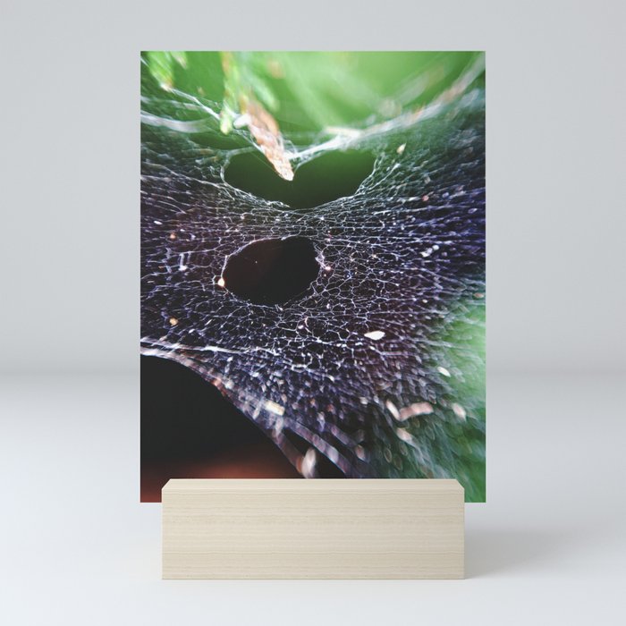  Holes In The Hammock. Spider Web, Nature Photography
Mini Prints On Society6