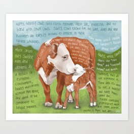 Cows 2-Hereford Art Print