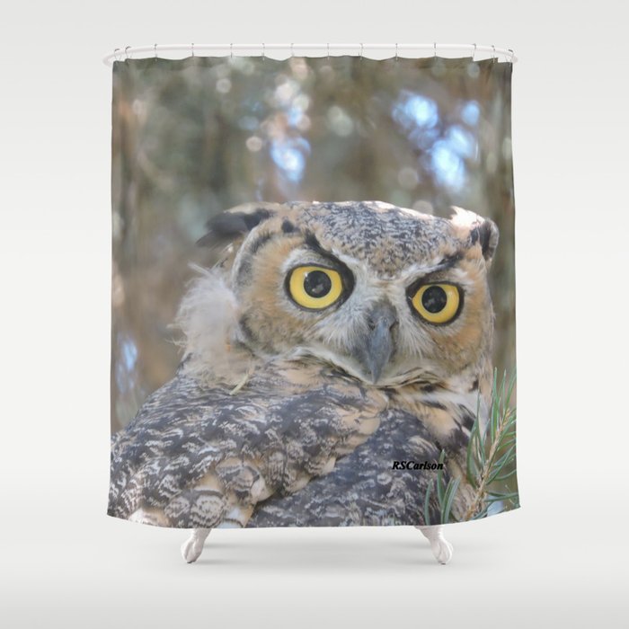 Young Owl at Noon Shower Curtain