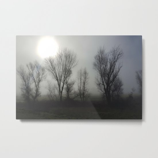Foggy Morning Metal Print