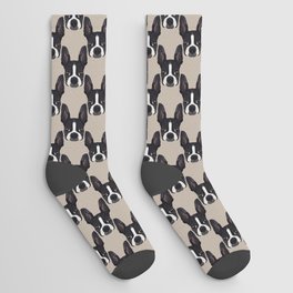 Boston Terrier 2015 Socks