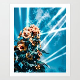 Sunflowers Art Print