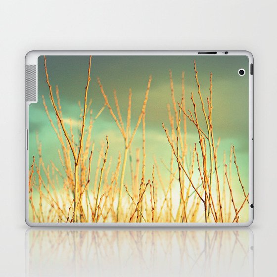 Wind in the Willows Laptop & iPad Skin