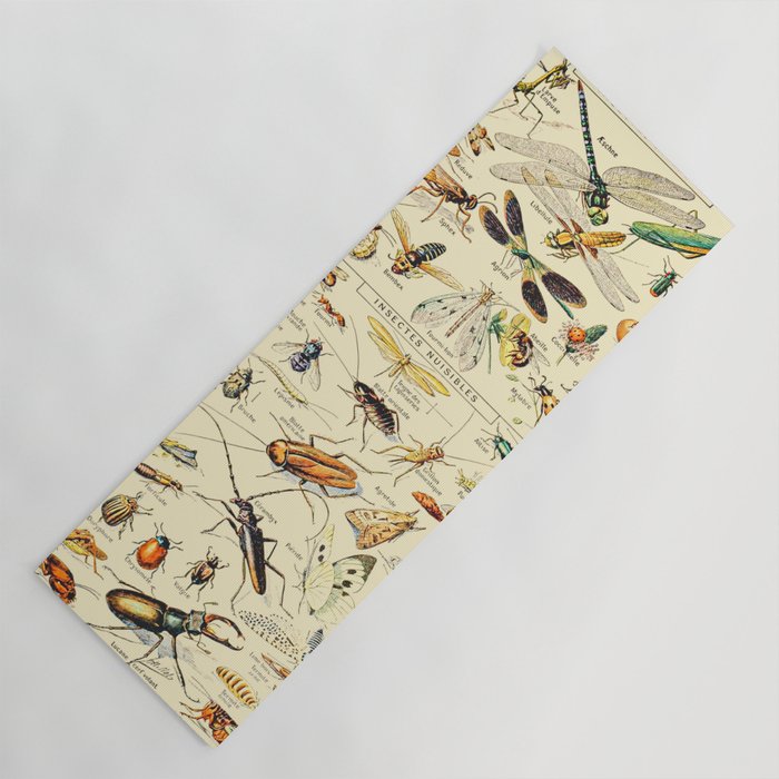 Insect and Bug Vintage Illustration Drawing by Adolphe Millot of Dragon ...