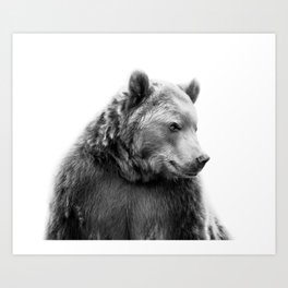 Bear Portrait Art Print