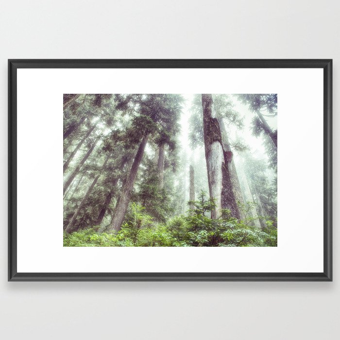 Dreamy Forest Fog Framed Art Print
