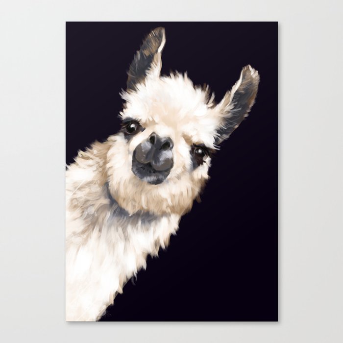 Sneaky Llama in Black Canvas Print