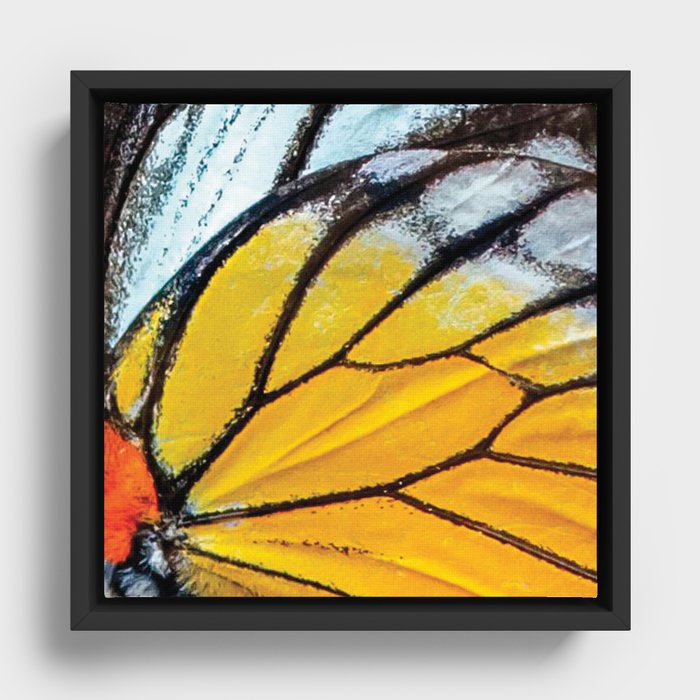 Butterfly texture Framed Canvas