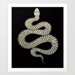Snake's Charm in Black Art Print