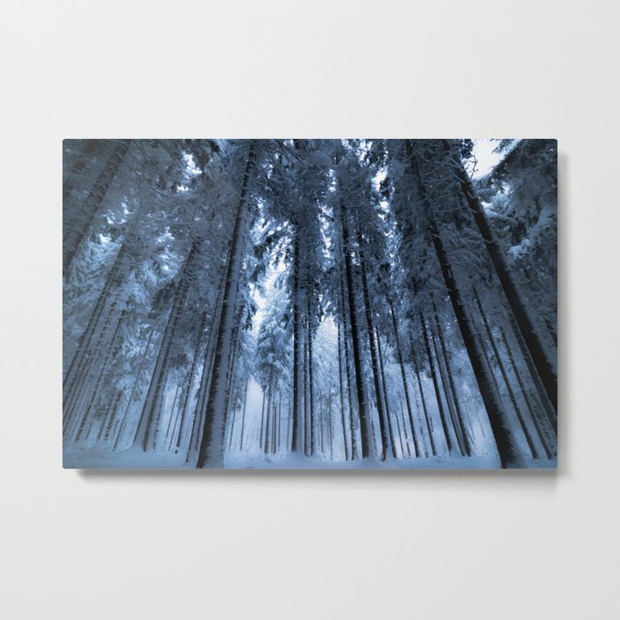 Snowy Winter Trees - Forest Nature Photography Metal Print