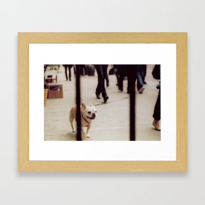 Dog Walking Framed Art Print
