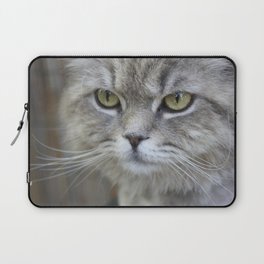 Stunning Grey Cat Pet Photo Portrait Laptop Sleeve