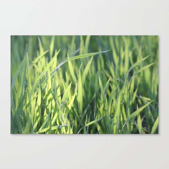 Green Paradise Canvas Print