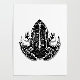 European Frog (B&W) Poster