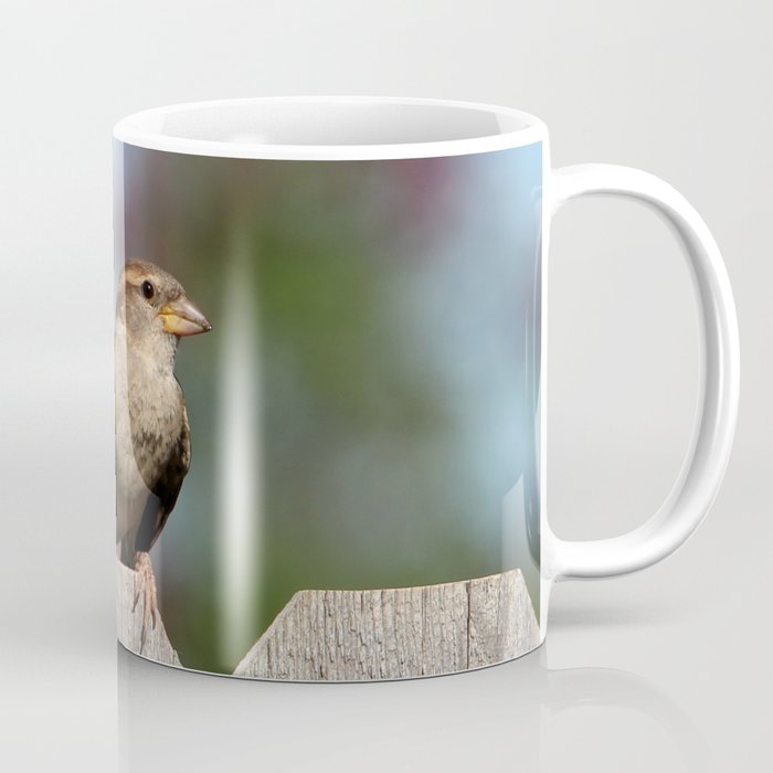 Feathered Friend perched on a fence Coffee Mug