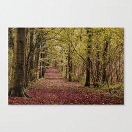 Autumn woodland scene Canvas Print