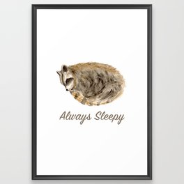 Always Sleepy Raccoon Framed Art Print