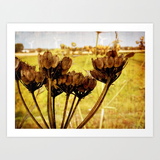End of summer is near Art Print