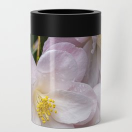 Pink Camellia in Spring Can Cooler