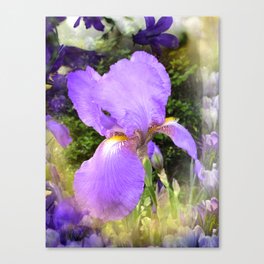 Songs Of Spring Canvas Print