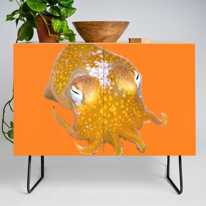 Silly Golden Bobtail squid Credenza