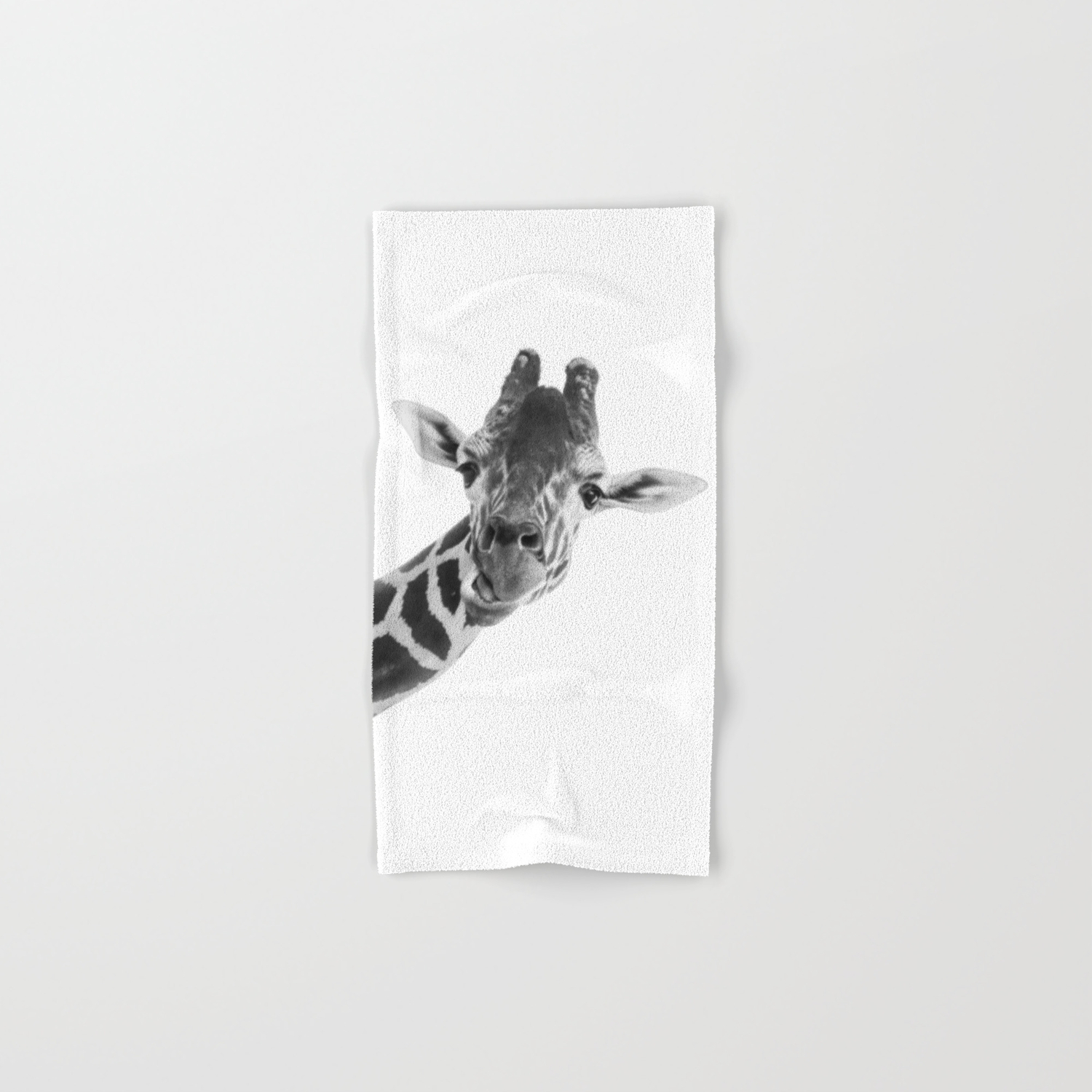 Giraffe Portrait Grey Wild Animal Cute Zoo Safari Madagascar