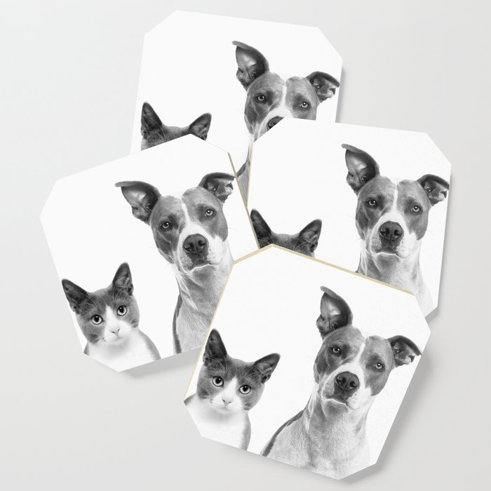 Cute Kitty Cat And Puppy Portrait Art Print Cat And Dog Animal Nursery Baby Animals Wall Art Decor Coaster By Radub85