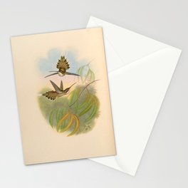 Pale-bellied Hermit Hummingbird by John Gould, 1861 (benefitting the Nature Conservancy) Stationery Card