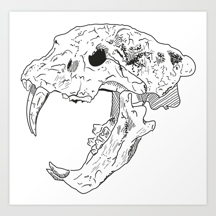 crâne de lion Art Print by Vesau | Society6