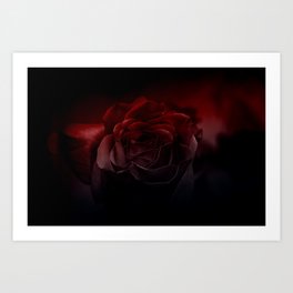 Bloody rose Art Print