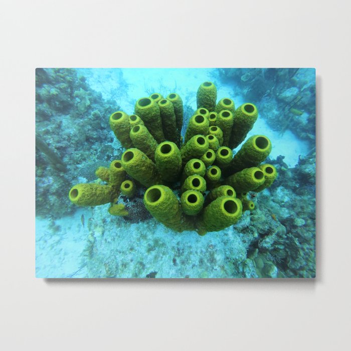 underwater beauty Metal Print
