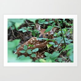 Spotted! Art Print