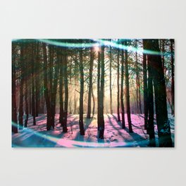 Winter Forest Canvas Print