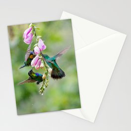 Three Costa Rican Hummingbirds in the Rain Stationery Cards