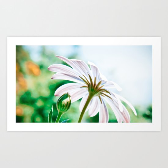 Sunbaking Art Print